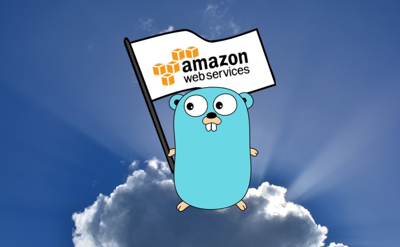 Fixing AWS "not authorized to perform: ssm:GetParameter" error in Go lambda